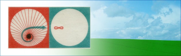 img-logo-jet-air-corp-horizon